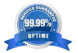 Web Hosting - 99.99% Service Uptime - Guaranteed!
